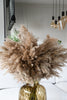 Fluffy pampas pluimen - 10 stelen