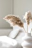 Fluffy pampas grass - 3 stems