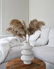 Fluffy pampas grass - 5 stems