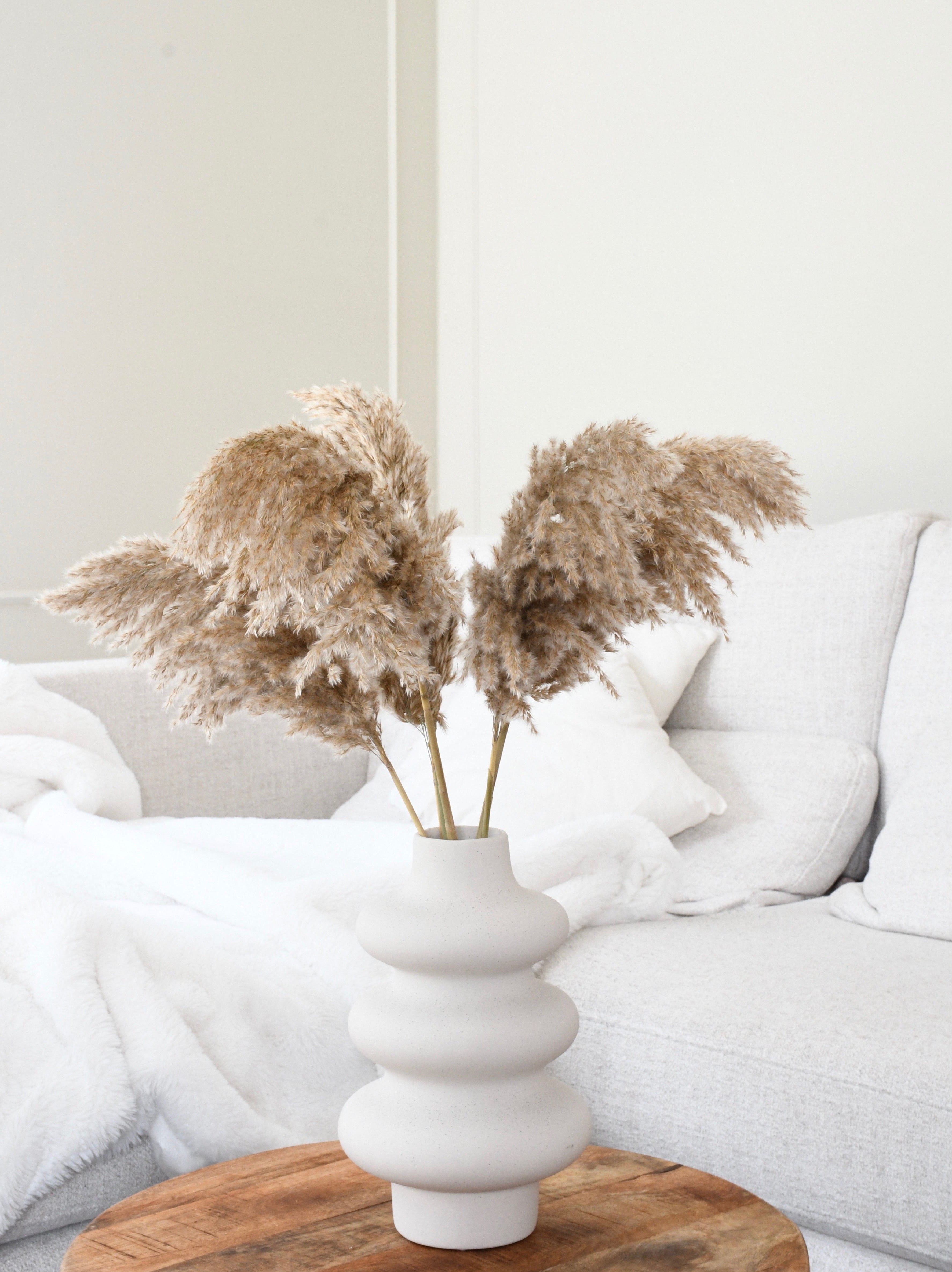 Fluffy pampas grass - 5 stems