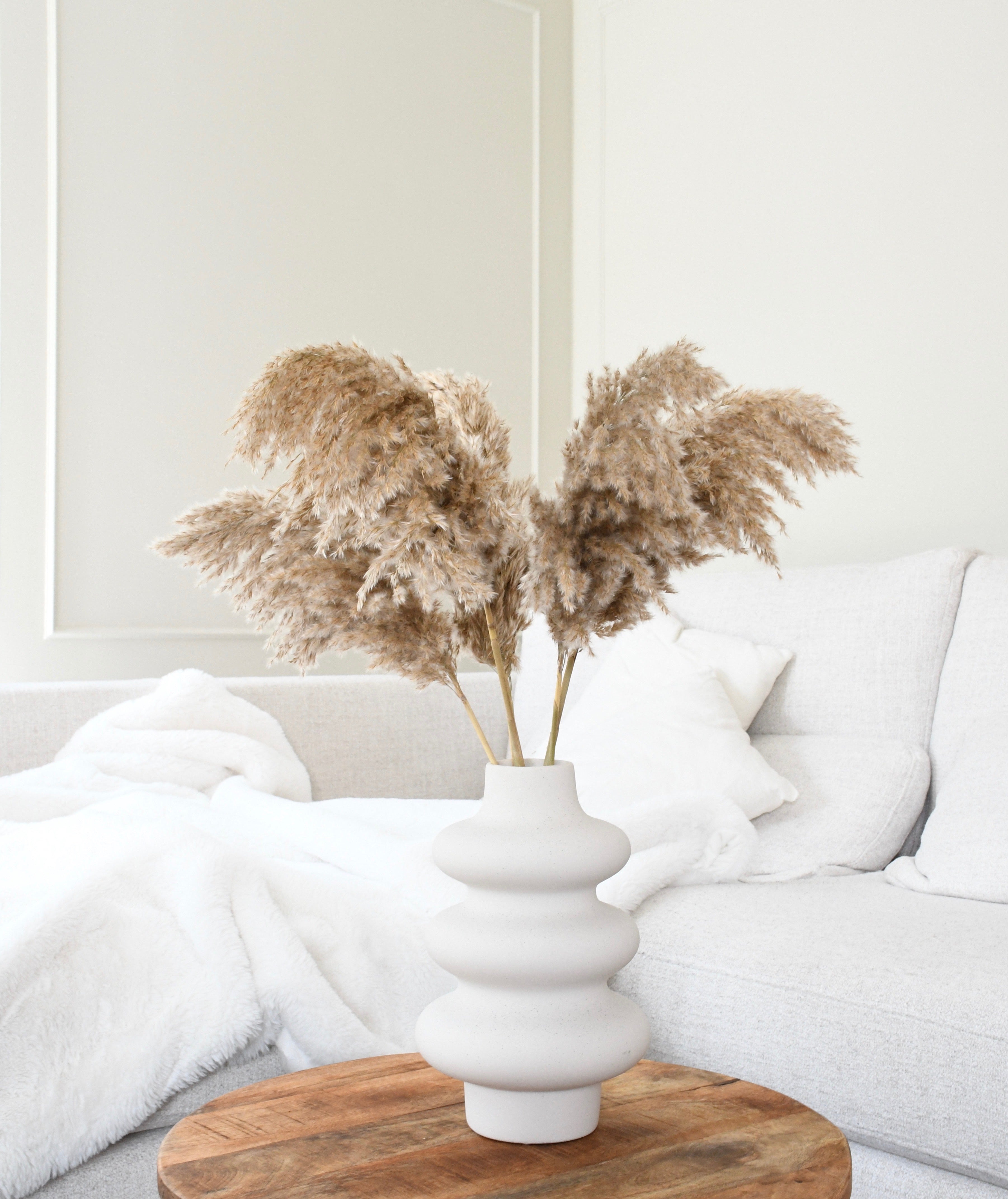 Fluffy pampas grass - 5 stems