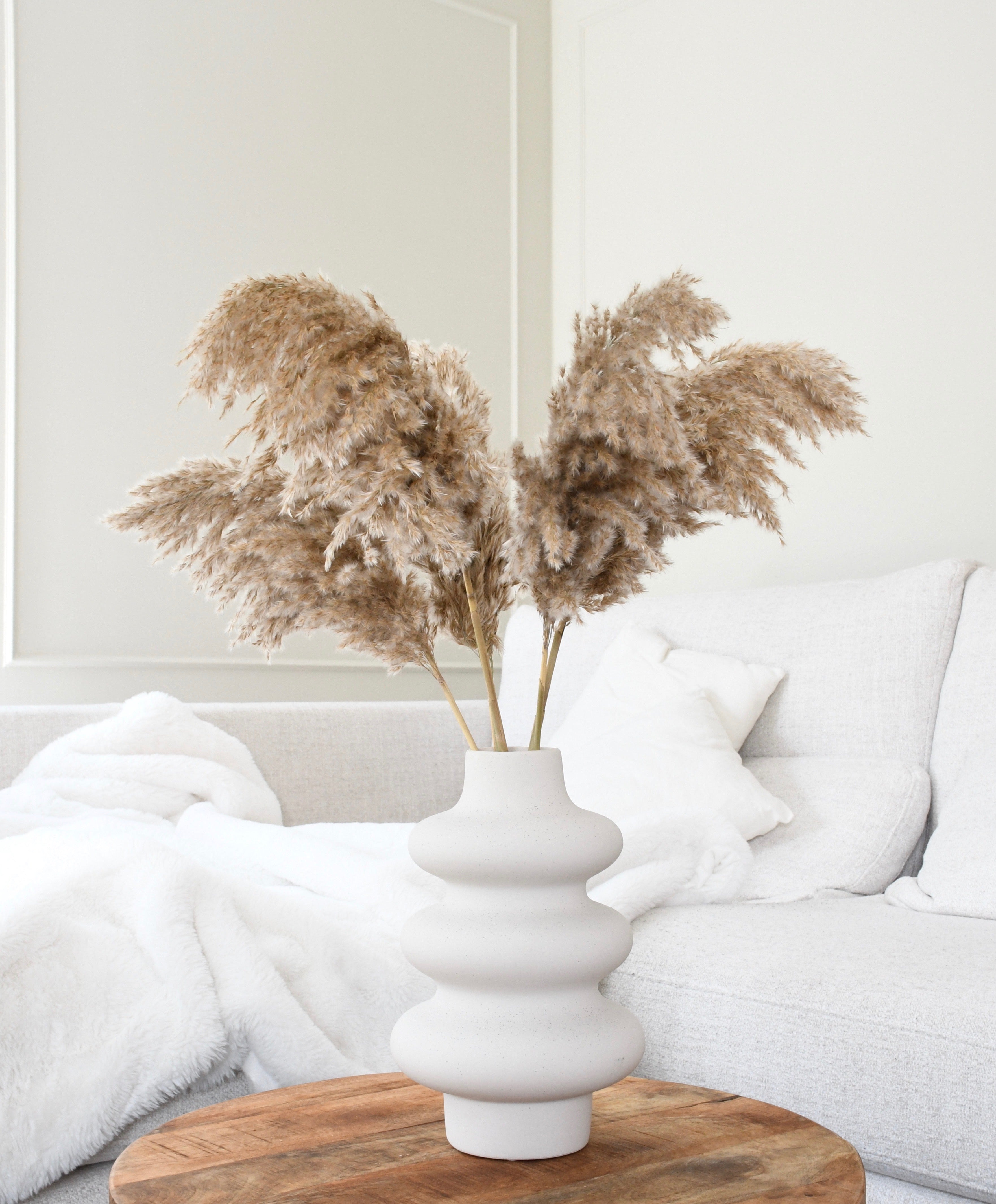 Fluffy pampas grass - 5 stems