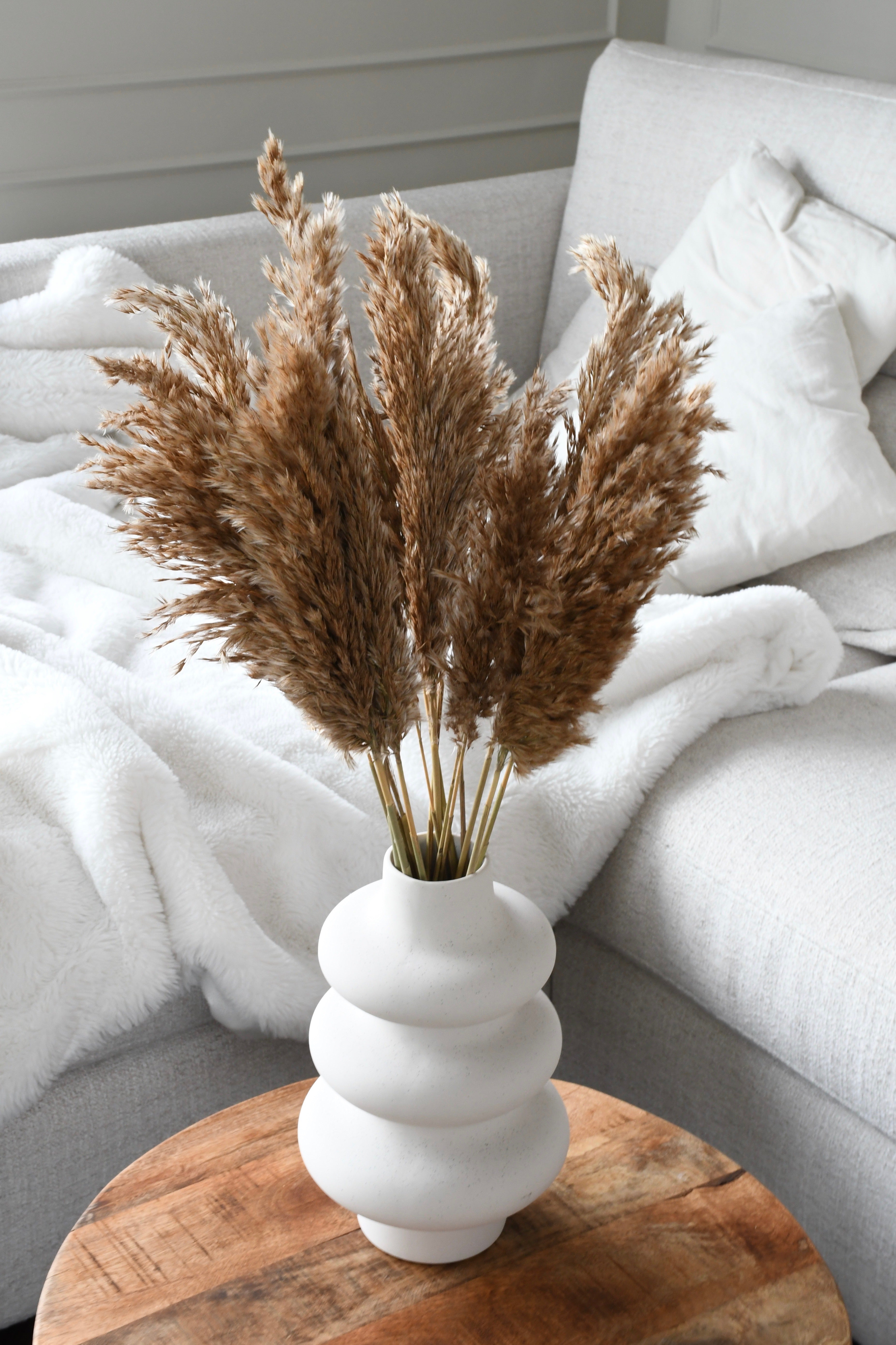 Pampas grass - 10 stems