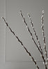 Preserved Salix - 10 stems