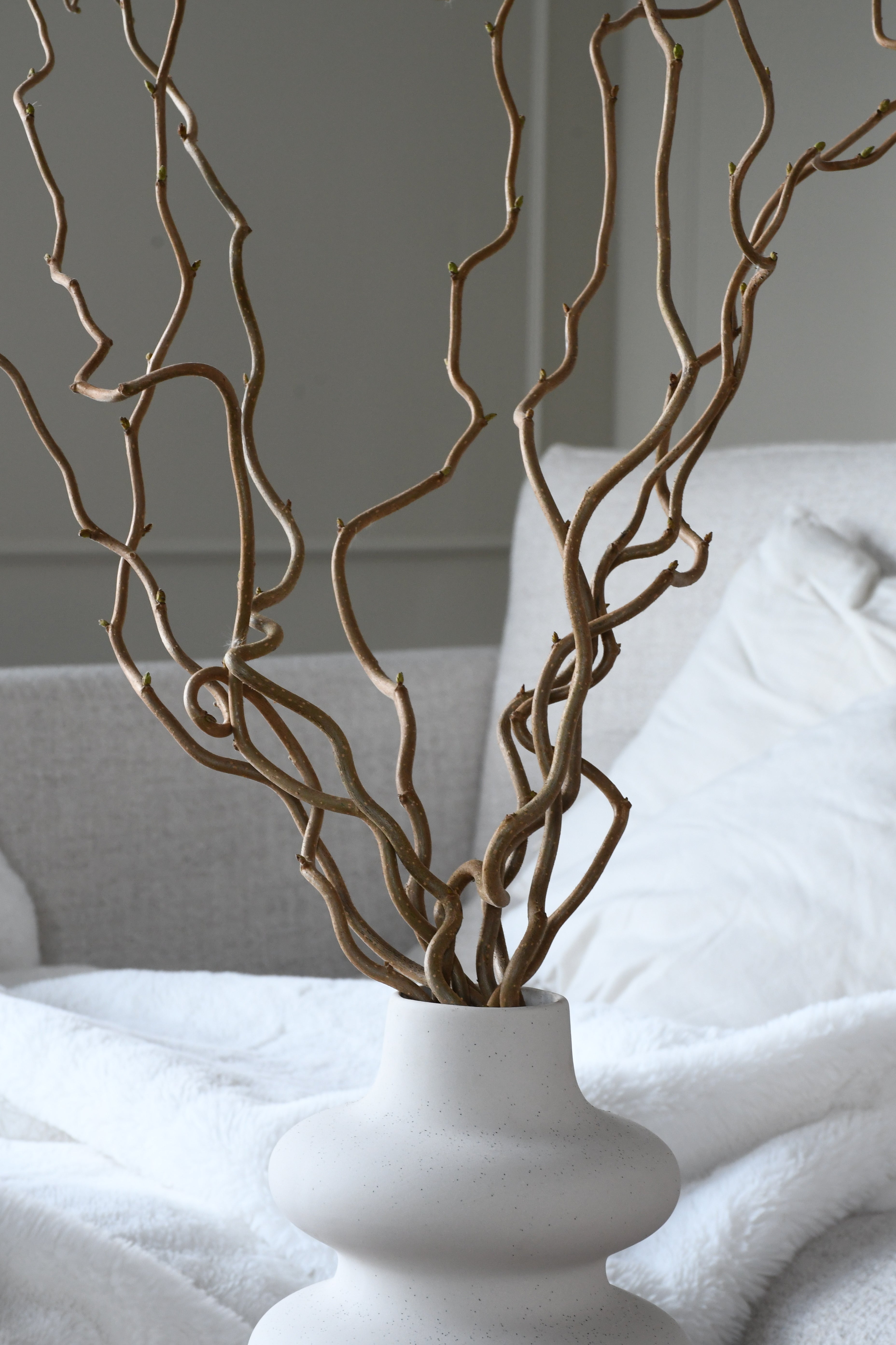 Twisted hazel branches - 10 stems