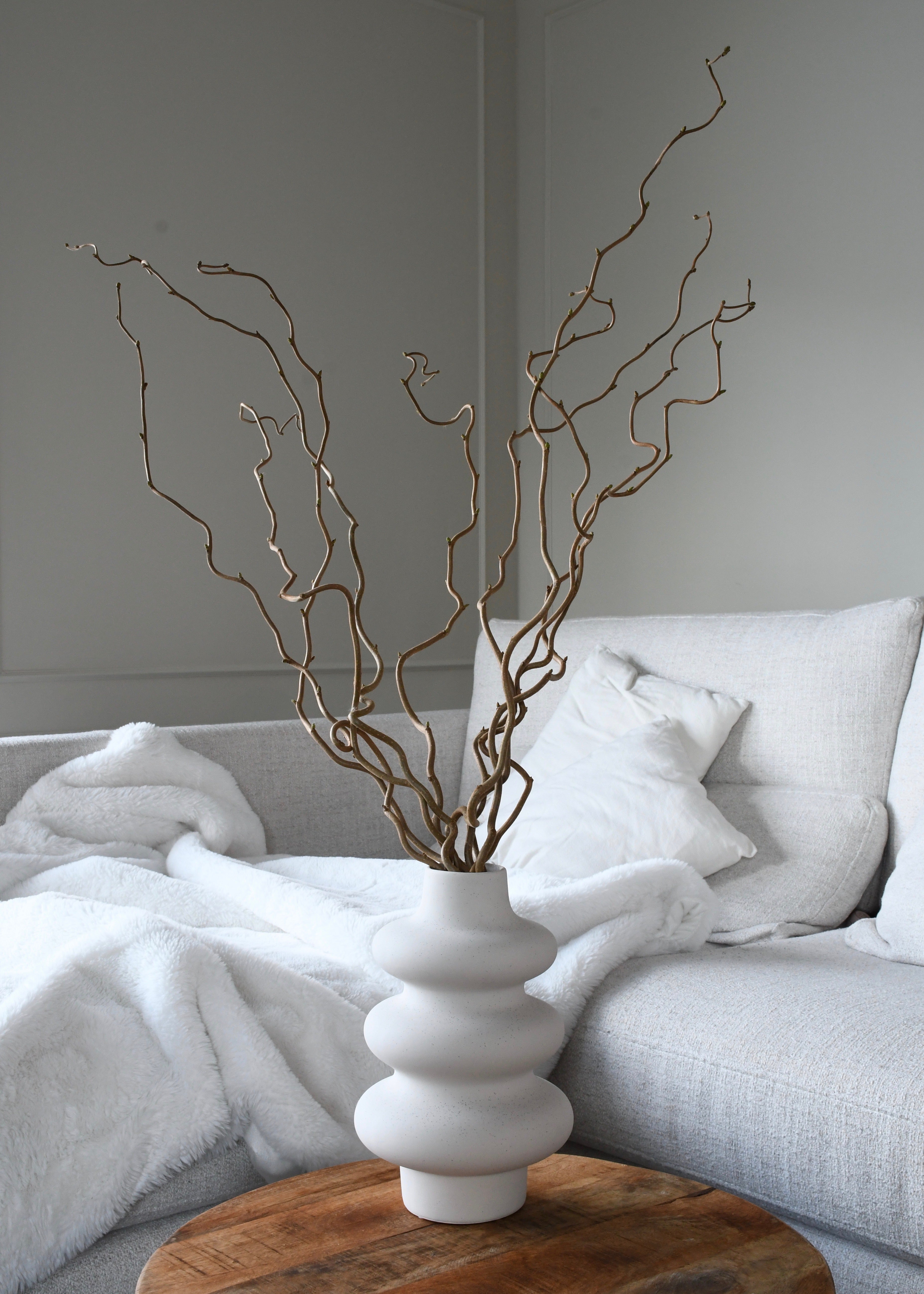 Twisted hazel branches - 10 stems