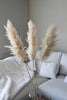 Beige Pampas 3 stems