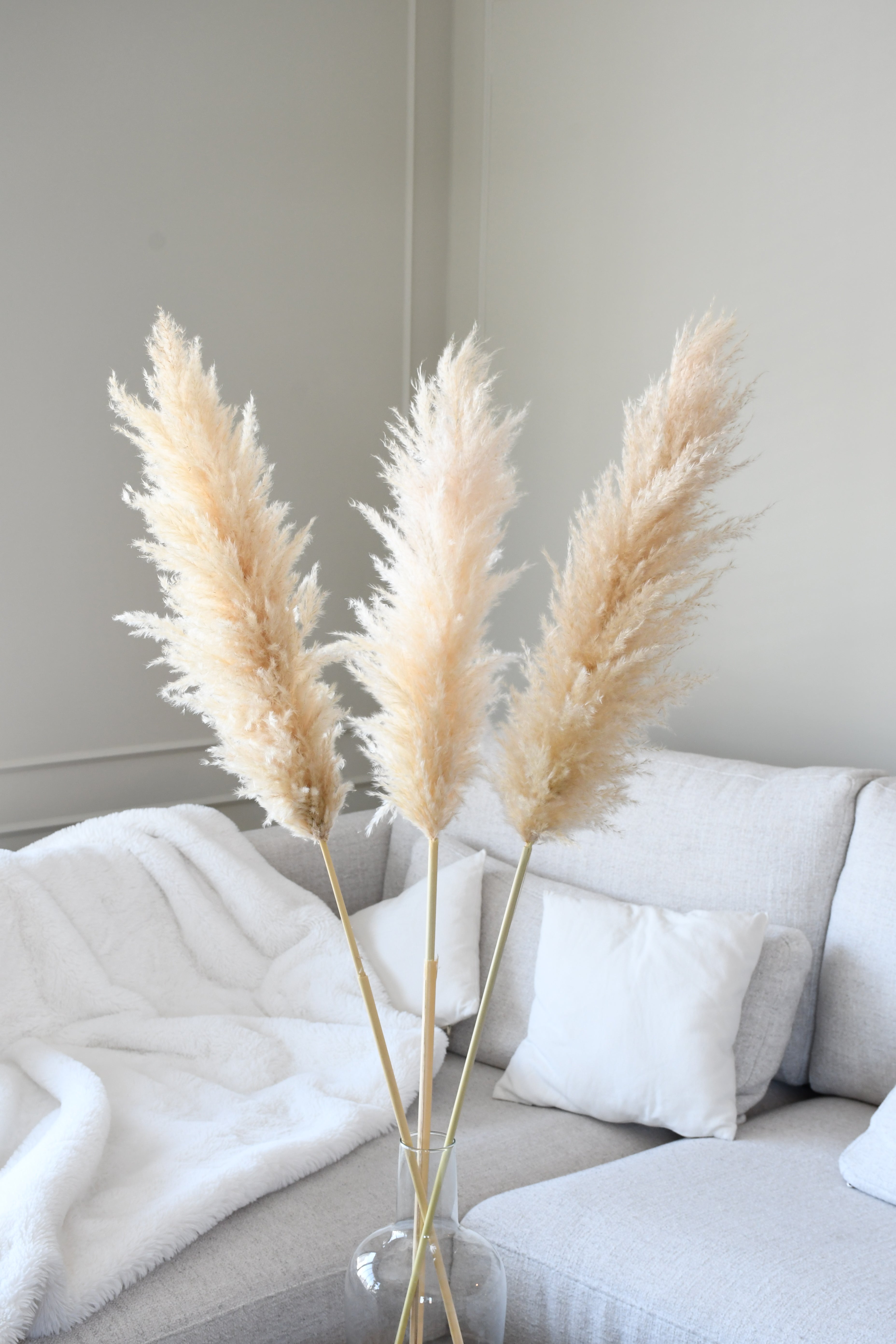 Beige Pampas 3 stems