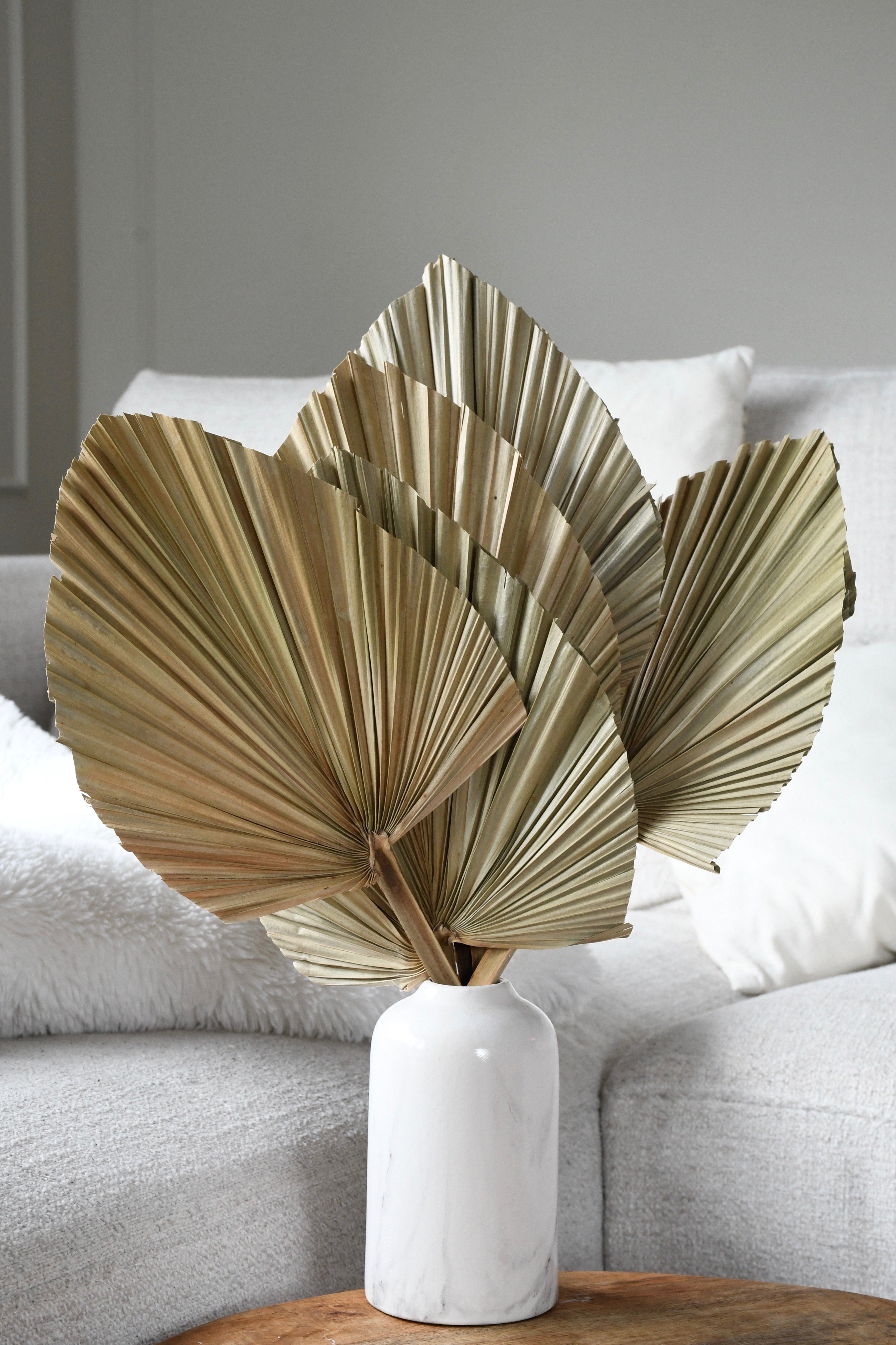 Dried Palm Leaves - 5 piece